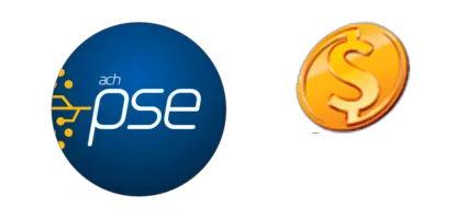 Efectivo (Cash PSE)