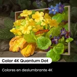 Colores vivos en pantalla 4K Quantum Dot del Hisense Canvas TV S7N