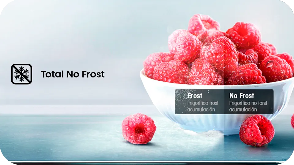 hisense bcd250 total no frost anti escarcha Eficiencia energética