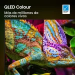 Colores vivos y precisos del televisor Hisense 75U8QG con tecnología QLED validada por Pantone