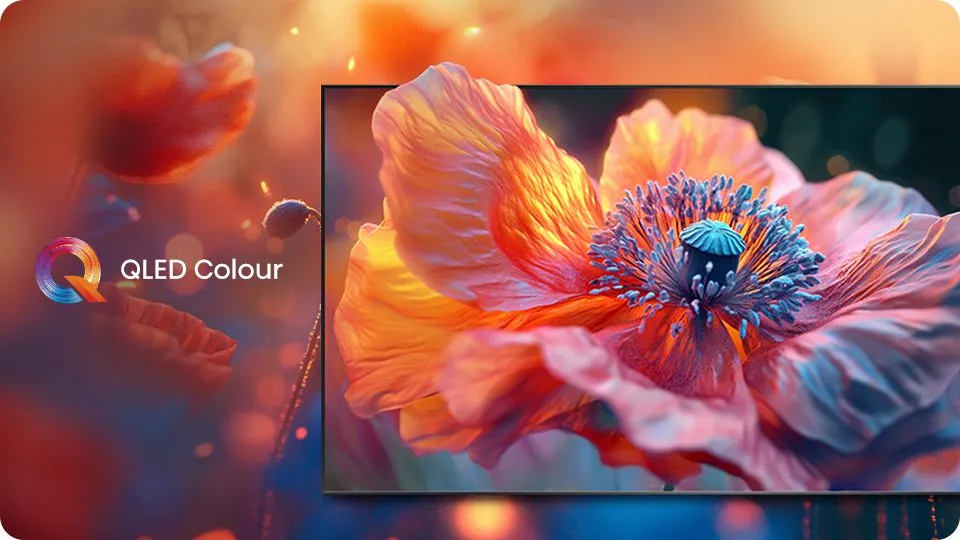 Hisense 55Q6QV QledColor