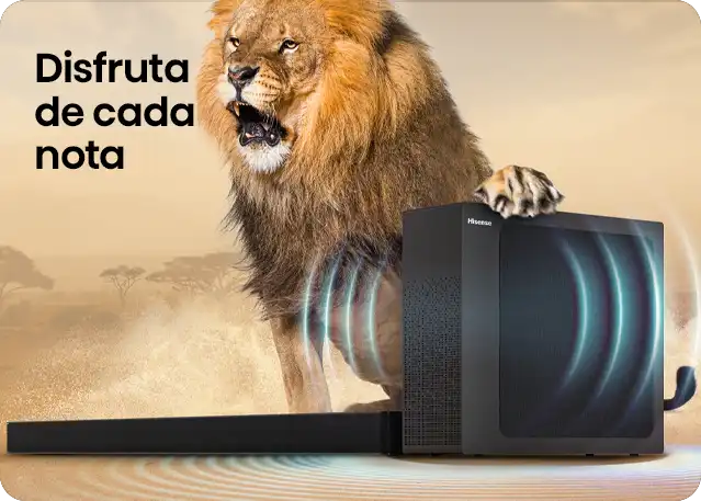 hisense hs2100 sonido potente leon ondas optimized 240 Vatios de poder